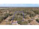 Aerial view of a large property surrounded by mature trees, outlined in blue at 2541 Lake Griffin Rd, Lady Lake, FL 32159