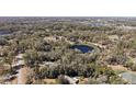 An expansive aerial view highlighting the lush landscape and tranquil pond at 2541 Lake Griffin Rd, Lady Lake, FL 32159