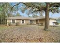 Inviting single-story home showcasing a large tree and a well-kept lawn at 109 Pecan Pass, Ocala, FL 34472