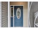 Close up of the front door showing its blue color, design, and sidelight window at 32222 Summertree Circle, Leesburg, FL 34748