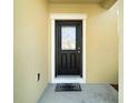 Close-up of a welcoming black front door with glass insert and white trim at 7528 Park Hill Ave, Leesburg, FL 34748