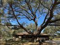 Inviting single-story home with mature trees offering shade and curb appeal at 1009 Linda Glen Ave, Fruitland Park, FL 34731