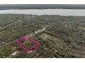 An aerial view shows the property's location within a lush, green, wooded area at 2930 Cr 416N, Lake Panasoffkee, FL 33538