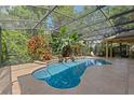 Relaxing screened-in pool area surrounded by lush landscaping and patio seating at 3430 Turningwind Ln, Winter Garden, FL 34787