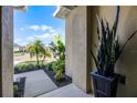 Inviting entrance view featuring lush landscaping and a peek at the serene neighborhood at 3009 High Pointe St, Clermont, FL 34711