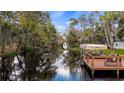 Beautiful waterfront view shows a dock with canopy on a tree-lined canal at 11136 Bronson Rd, Clermont, FL 34711