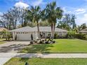Well-maintained home featuring brick driveway, lush lawn, and beautiful palm trees at 3400 Foxboro Ct, Mount Dora, FL 32757