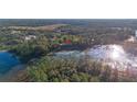 Stunning aerial view of a home surrounded by lush greenery and a lake at 39615 Forest Dr, Eustis, FL 32736