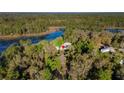 Aerial shot of a quaint home nestled within dense trees near a sparkling lake at 39615 Forest Dr, Eustis, FL 32736