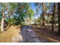 Inviting view of a cozy home at the end of a long, tree-lined driveway at 39615 Forest Dr, Eustis, FL 32736