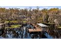 Aerial shot of a dock with boat lift surrounded by beautiful Spanish moss trees at 12117 Cypress Ln, Clermont, FL 34711