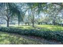 Expansive backyard with mature trees, providing ample privacy at 1828 Augustine Dr, The Villages, FL 32159