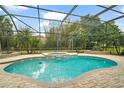 Screened-in pool and spa area with brick trim and mature landscaping creating a private backyard oasis at 2031 Capri Ln, Mount Dora, FL 32757