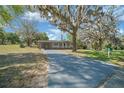 Beautiful single-story home with a long driveway and mature trees providing ample shade in the front yard at 211 Sara Ln, Leesburg, FL 34748