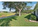 Lush backyard featuring a scenic golf course view, and a large tree providing ample shade at 26821 Augusta Springs Cir, Leesburg, FL 34748