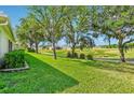 Expansive backyard with lush lawn, mature trees and views of the nearby green space creates a tranquil outdoor setting at 26821 Augusta Springs Cir, Leesburg, FL 34748