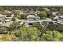 A high angle view shows many beautiful single Gathering homes with mature trees and circular driveways at 5029 Greenbriar Trl, Mount Dora, FL 32757