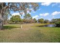 Scenic backyard featuring a lush green lawn and a tranquil pond surrounded by mature trees at 509 Grand Vista Trl, Leesburg, FL 34748