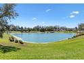 Scenic view of a serene pond surrounded by lush green grass, trees and a few houses in the distance at 2310 Ambler Cir, The Villages, FL 32162