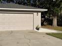 Attached two-car garage with updated door, exterior lighting, and meticulous landscaping at 2416 Briarwood Ln, Eustis, FL 32726