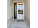 A clean entry with a white door, a decorative sidelight, and a welcoming 'hello' door mat at 3405 Rabbit Run Path, The Villages, FL 32163