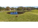 Expansive pasture featuring a serene pond and grazing cattle, perfect for rural living at 6813 S Fork Ranch Dr, Clermont, FL 34714