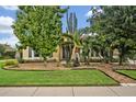 Landscaped front yard featuring an assortment of green trees, cacti, and a neatly cut lawn at 257 Winding Cove Ave, Apopka, FL 32703