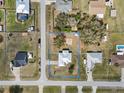 Aerial view of a neatly plotted property showcasing its location with blue boundaries in a residential neighborhood at 3909 Cr 532A, Bushnell, FL 33513