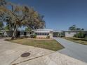 Well-kept single story home with large tree and green lawn, showing inviting front yard and painted driveway at 103 Tamarisk Way, Leesburg, FL 34748