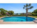 Backyard pool featuring a lake view, a tanning ledge, and a palm tree, creating a serene oasis at 16109 Hillside Cir, Montverde, FL 34756