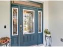 Beautiful front door with decorative glass panels, a secure lock system, and a potted plant at 4419 Clear Brook Ct, Leesburg, FL 34748