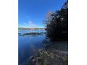 Picturesque lake view with lush trees along the shoreline under a clear blue sky at 1903 Lake Ella Rd, Fruitland Park, FL 34731