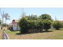 Backyard view showing property with partial privacy hedge at 5221 Se 107Th Pl, Belleview, FL 34420