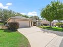 Charming single-story home with a well-manicured lawn, a mature tree, and an inviting driveway at 17883 Se 125Th Cir, Summerfield, FL 34491
