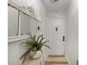 Inviting entryway featuring a decorative mirror, plant, and light-colored hardwood flooring at 628 Mount Homer Rd # 4B, Eustis, FL 32726
