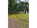 Scenic view of a large lot with mature trees, offering privacy at 11252 Country Haven Dr, Lakeland, FL 33809