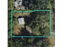 A birds eye view of the home and property with a defined perimeter line at 136 S Commercial St, Coleman, FL 33521