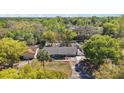 An aerial view of the single Gathering home nestled amongst lush greenery and mature trees at 3860 Branch Ave, Mount Dora, FL 32757