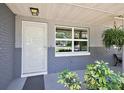Close up of front door with beautiful plants and large windows with natural light at 3860 Branch Ave, Mount Dora, FL 32757