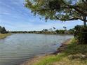 Beautiful lake view surrounded by lush green trees and blue sky at 8165 Bridgeport Bay Cir, Mount Dora, FL 32757