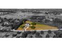 Expansive estate lot featuring a luxury home with an extended circular driveway and mature landscaping at 10651 Arrowtree Blvd, Clermont, FL 34715