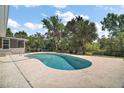 Backyard pool surrounded by lush greenery, offering a private and serene outdoor space at 5331 Magnolia Ridge Rd, Fruitland Park, FL 34731