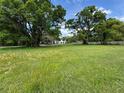 Sprawling lot with lush green grass and mature trees, offering a serene and private setting at 1425 Douglas Rd, Groveland, FL 34736