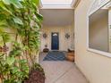 Welcoming front porch features blue door, decorative rug, and leafy green vines at 9027 Saint Andrews Way, Mount Dora, FL 32757