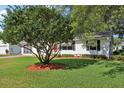 Inviting home with a large tree in the front yard offering shade and curb appeal at 915 Sutherland Ct, Leesburg, FL 34788