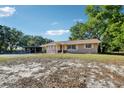 Charming single-story home featuring a large driveway, well-manicured lawn, and mature shade trees at 23519 State Road 44, Eustis, FL 32736
