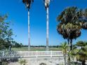 Scenic view of lush golf course framed by palm trees and a white picket fence at 1954 Ladyfish Ave, The Villages, FL 32162