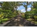 Long driveway leading to a beautiful home surrounded by mature trees and lush landscaping at 2121 Suzanne Dr, Mount Dora, FL 32757