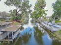 Picturesque waterfront view with docks and boat lift at 2529 Cr 448, Lake Panasoffkee, FL 33538