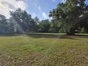 Lush green lawn surrounded by mature trees, offering privacy and a serene atmosphere at 350 Cassady St, Umatilla, FL 32784
